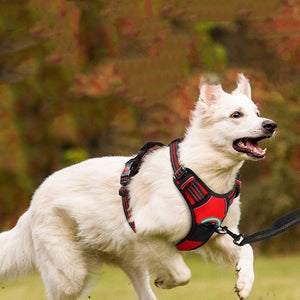 Unleash Adventure with the Pet Traction Rope Chest Strap