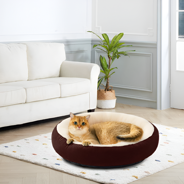 How to Choose the Perfect Pet Bed