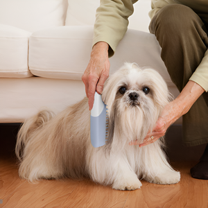 The Importance of Regular Pet Grooming