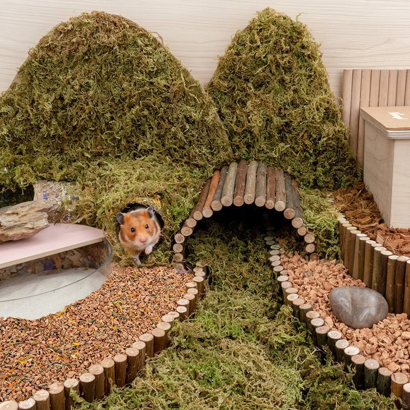 Hamster Digging Bedding Hamster Cage