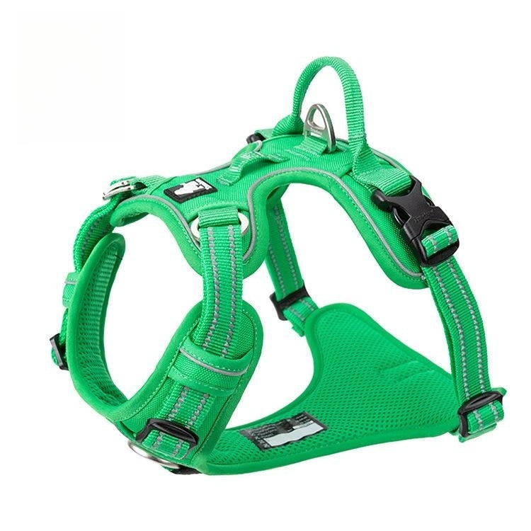 Vest Dog Hand Holding Rope