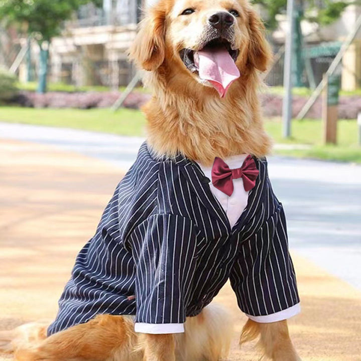 Golden Retriever Big Dog Coat Clothes