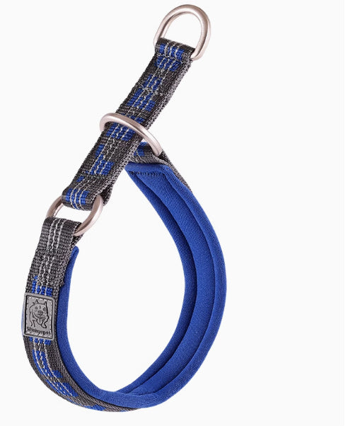 Dog Walking Leash Artifact