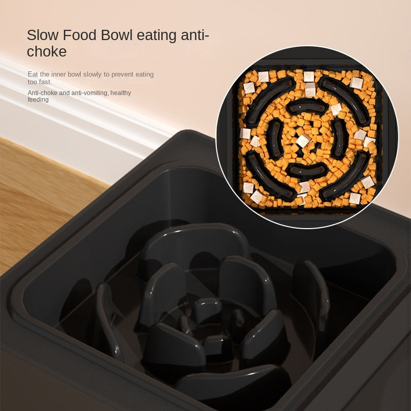 Pet Double Bowls Stainless Stand