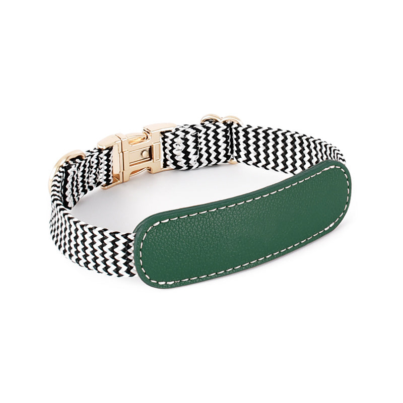 Pet Vest-style Hand Holding Rope Dog
