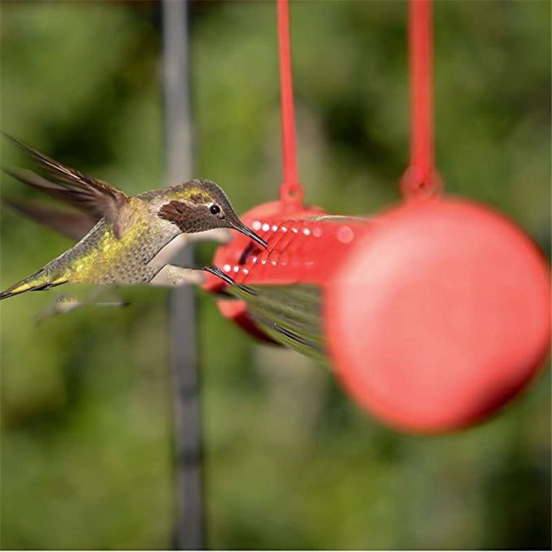 Flowers Hummingbird Bird Feeder