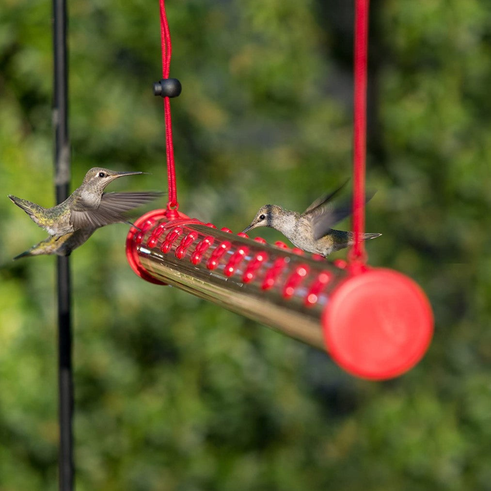 Flowers Hummingbird Bird Feeder