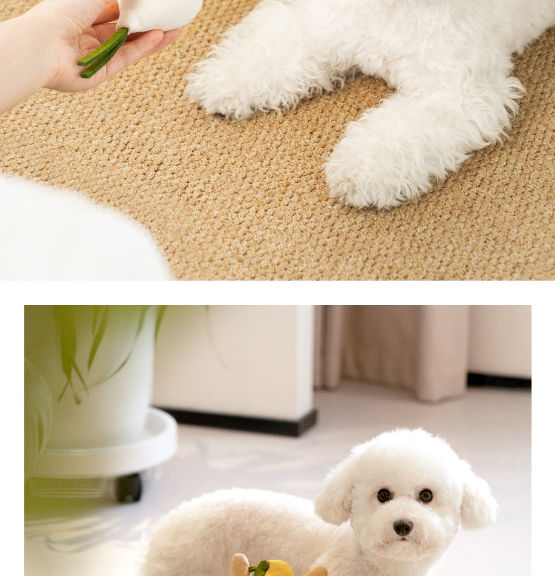 Physical Dog Food Leakage Educational Toys