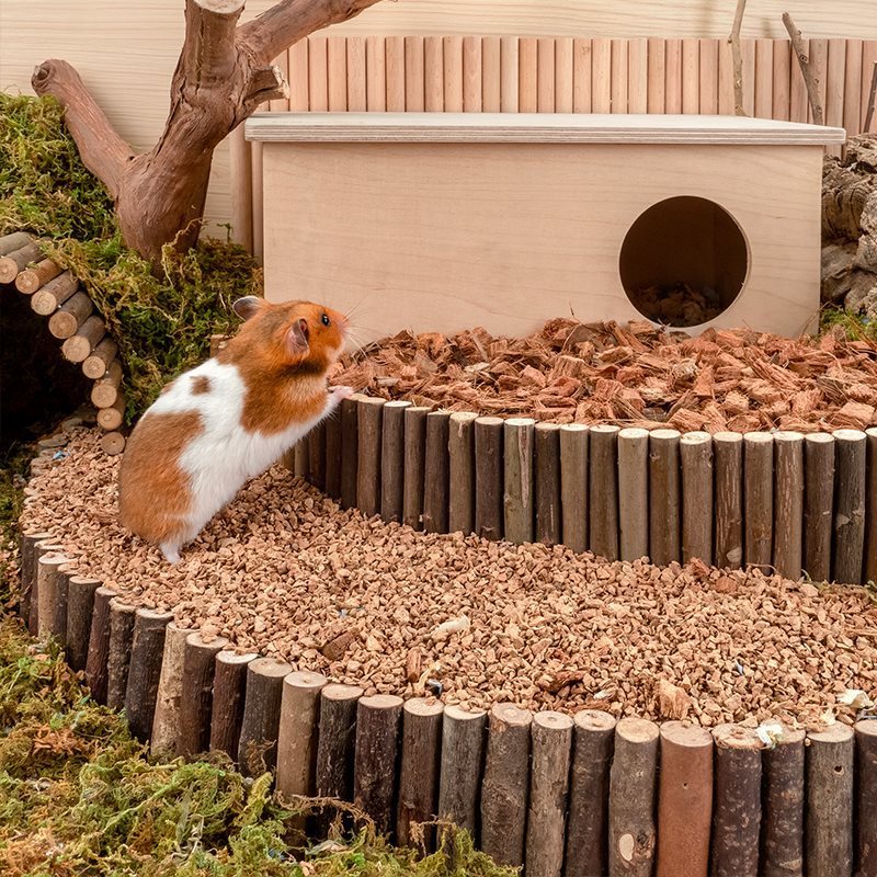 Hamster Digging Bedding Hamster Cage