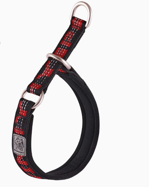 Dog Walking Leash Artifact