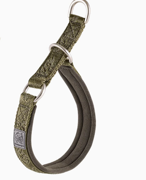 Dog Walking Leash Artifact