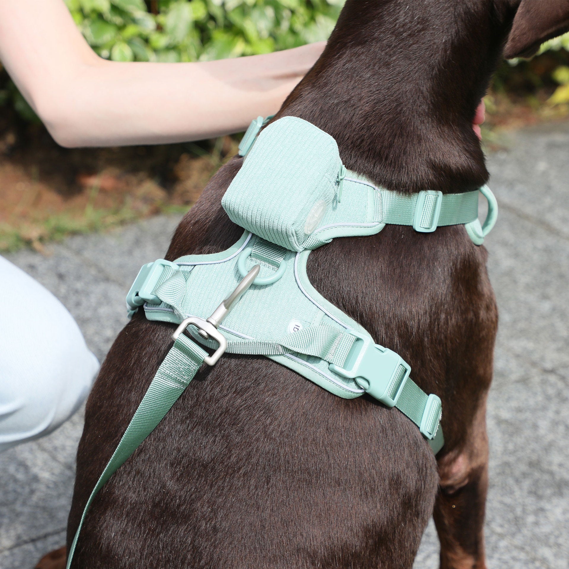 Pet Collar Explosion-proof Dog Vest
