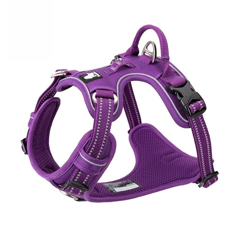 Vest Dog Hand Holding Rope