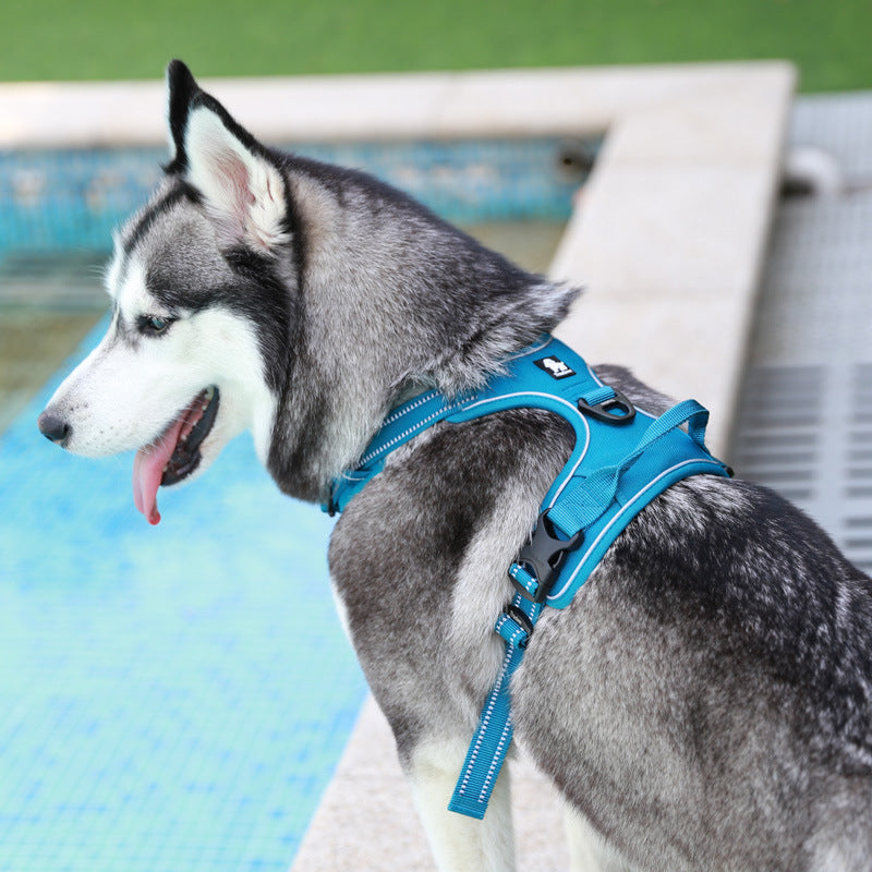 Vest Dog Hand Holding Rope