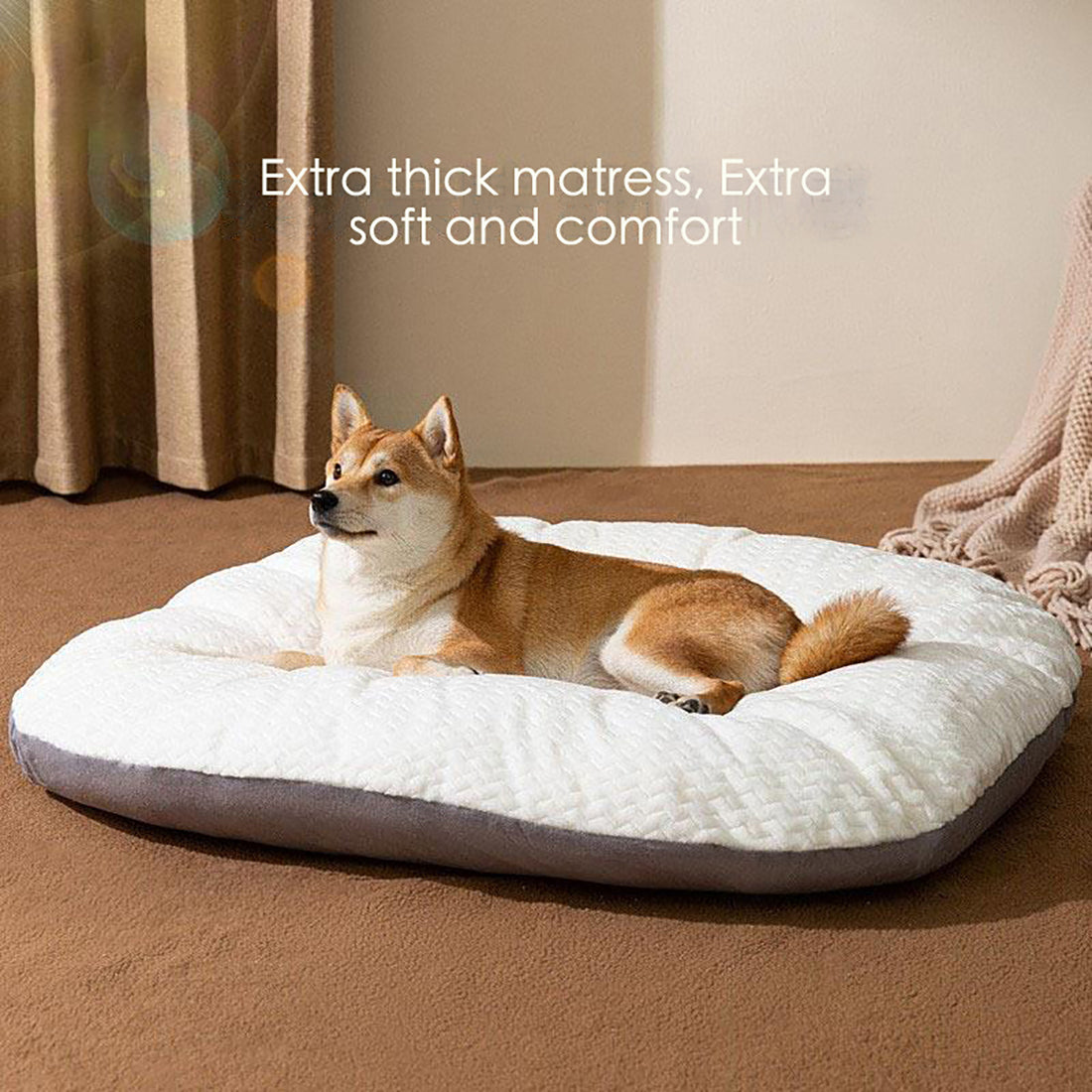 Oval Shape Cushion For Large Dogs