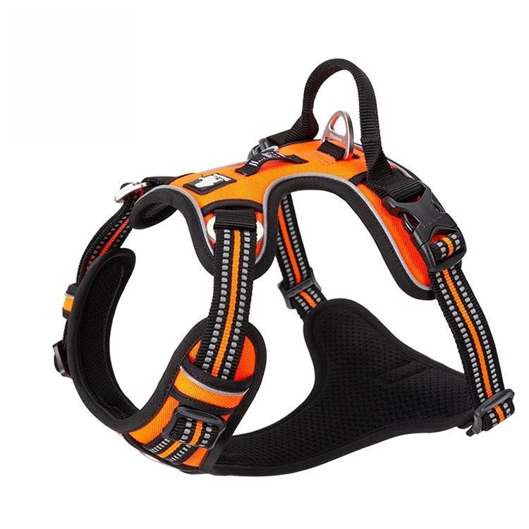 Vest Dog Hand Holding Rope