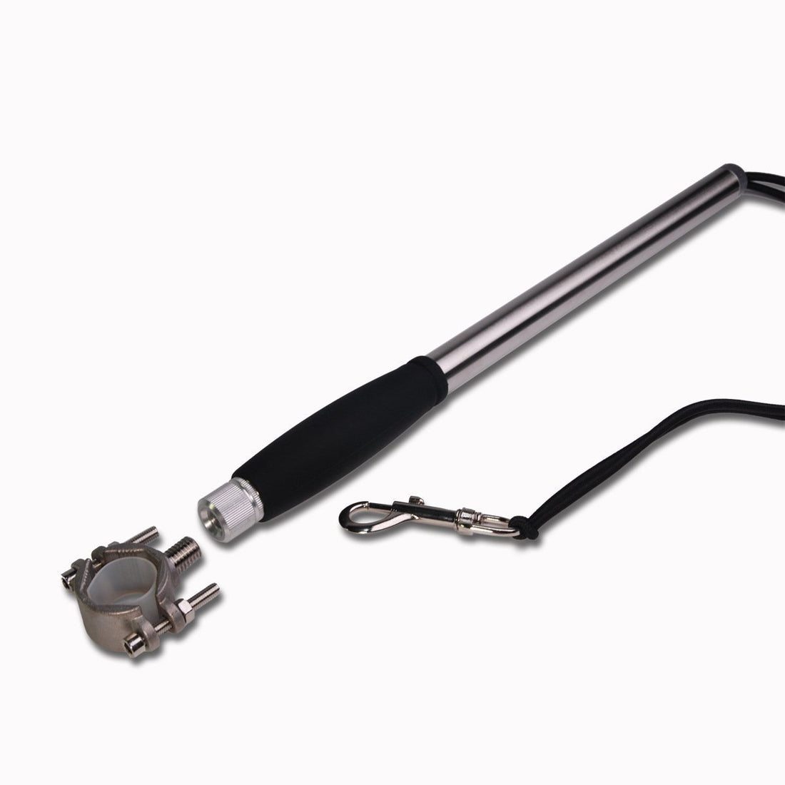 Bicycle Dog Walking Hand Holding Leash