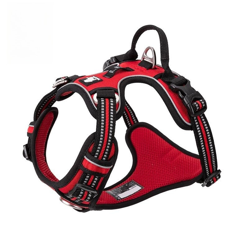 Vest Dog Hand Holding Rope
