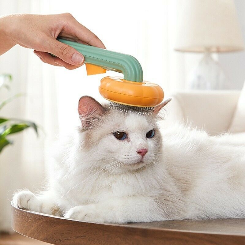 Pumpkin Pet Needle Comb