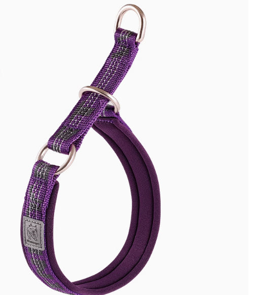 Dog Walking Leash Artifact