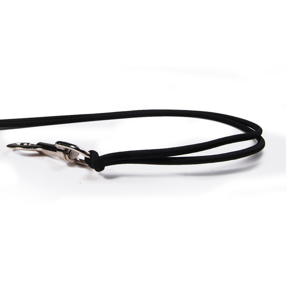 Bicycle Dog Walking Hand Holding Leash