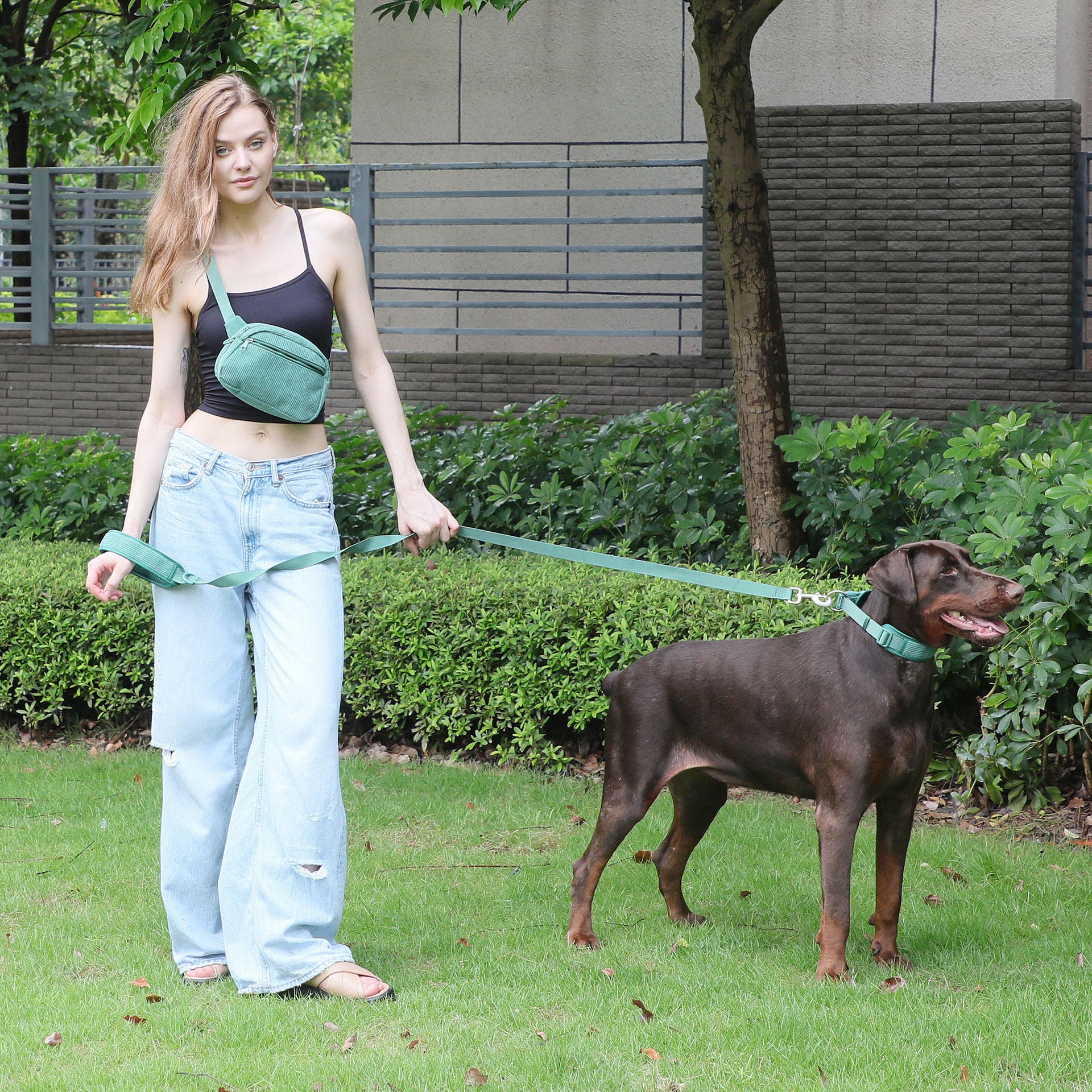 Dog Backpack Suit Dog Walking Leash