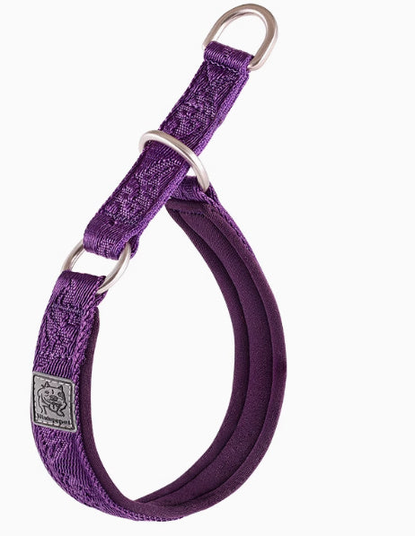 Dog Walking Leash Artifact