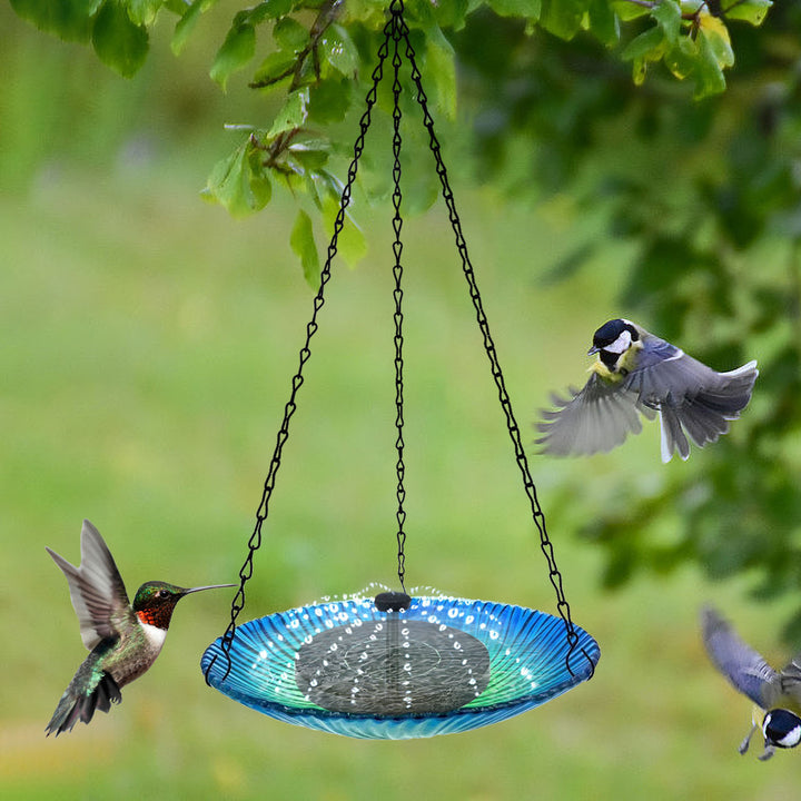 Outdoor Fountain Hanging Bird Feeder