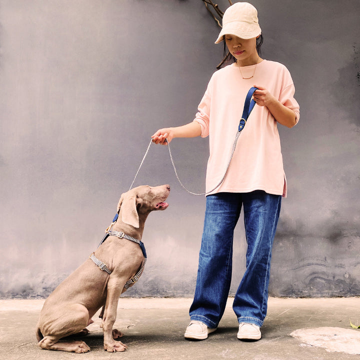 Pet Vest-style Hand Holding Rope Dog