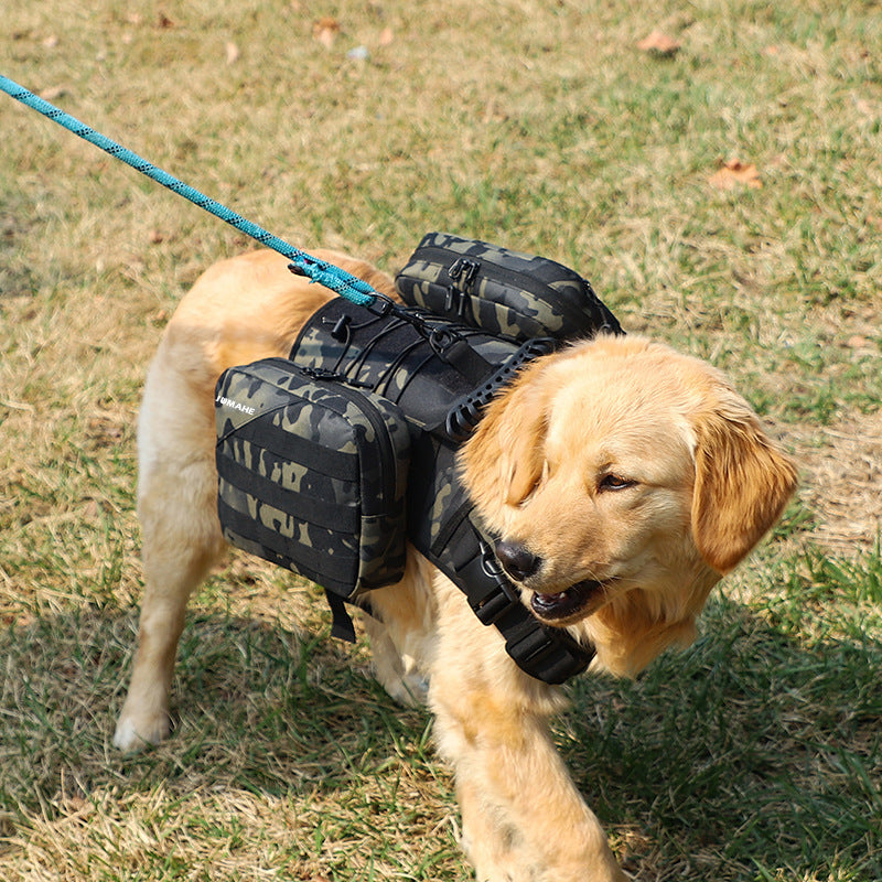 Simple Walking Dog Leash