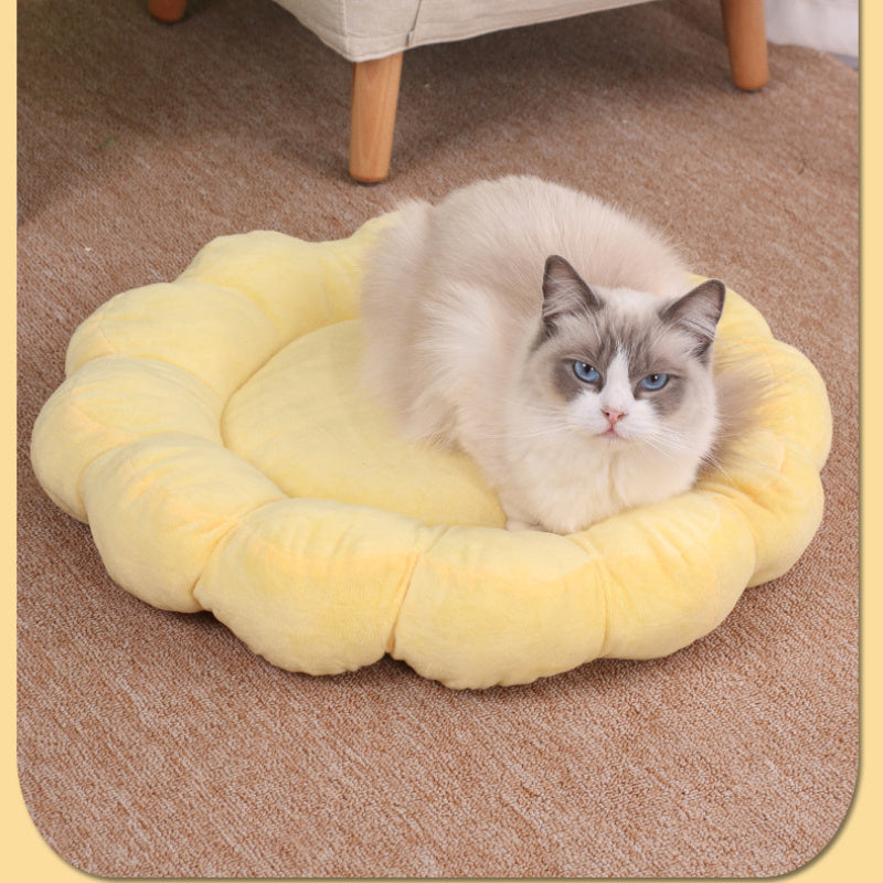 Cat Nest Cute Half Surrounded Double Sided