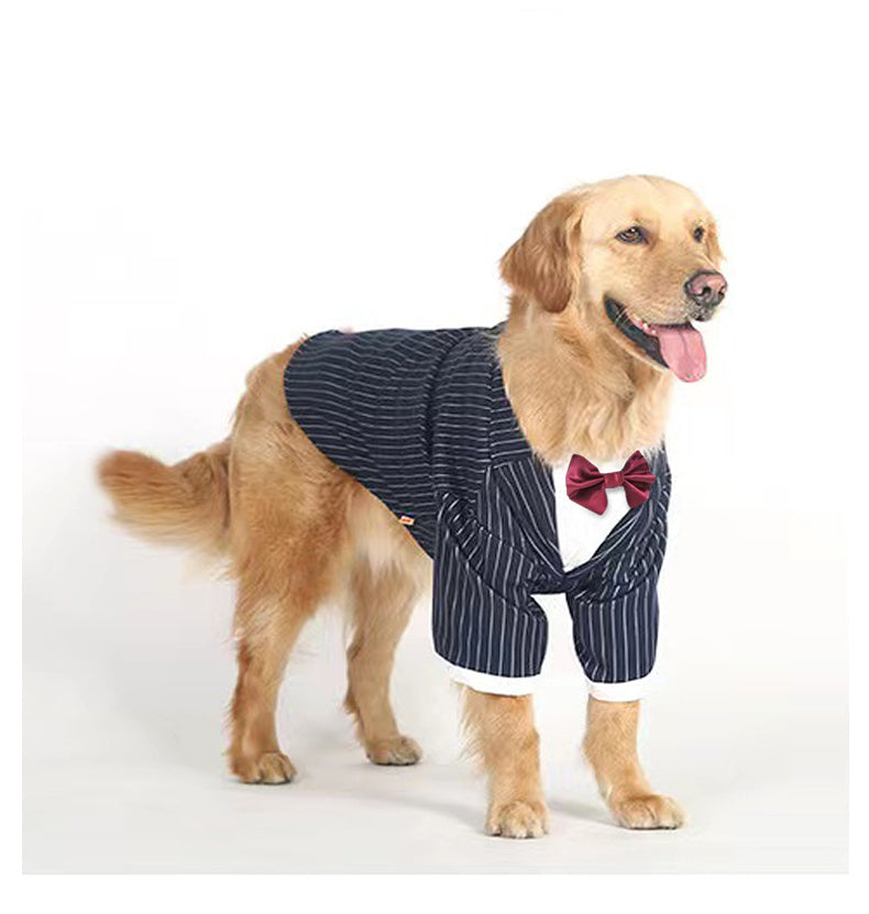 Golden Retriever Big Dog Coat Clothes