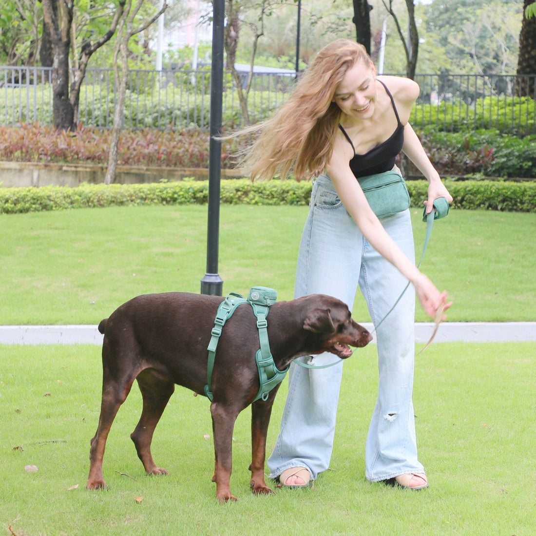 Dog Backpack Suit Dog Walking Leash