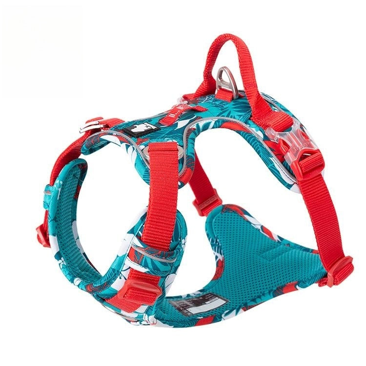 Vest Dog Hand Holding Rope