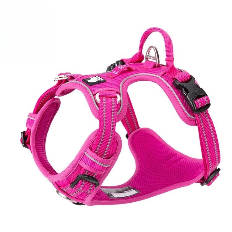 Vest Dog Hand Holding Rope