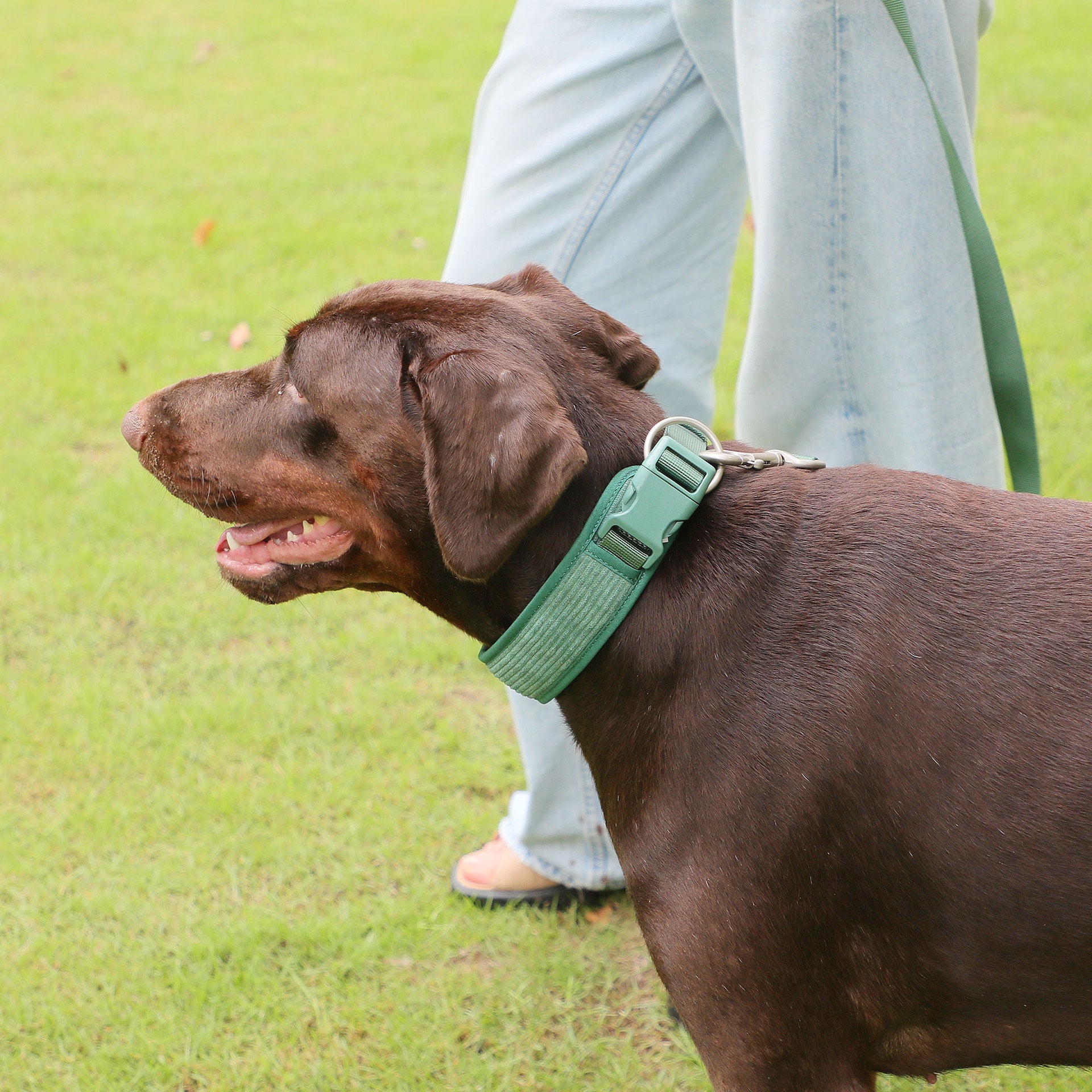 Dog Backpack Suit Dog Walking Leash