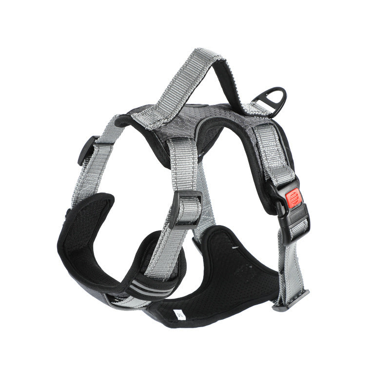 Dog Hand Holding Rope Vest Dog Chest Strap