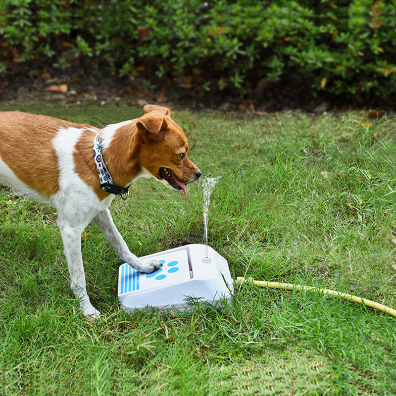 Dog Water Feeder Intellectual Toys