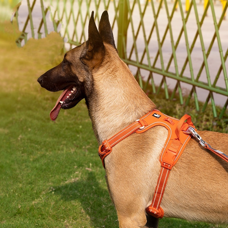 Chest Strap Camouflage Dog Supplies