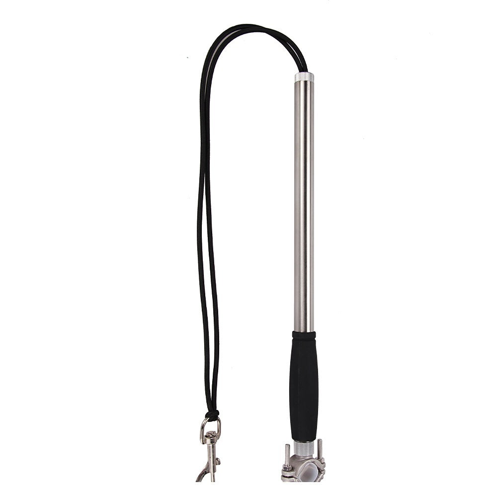 Bicycle Dog Walking Hand Holding Leash
