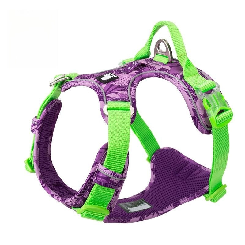 Vest Dog Hand Holding Rope